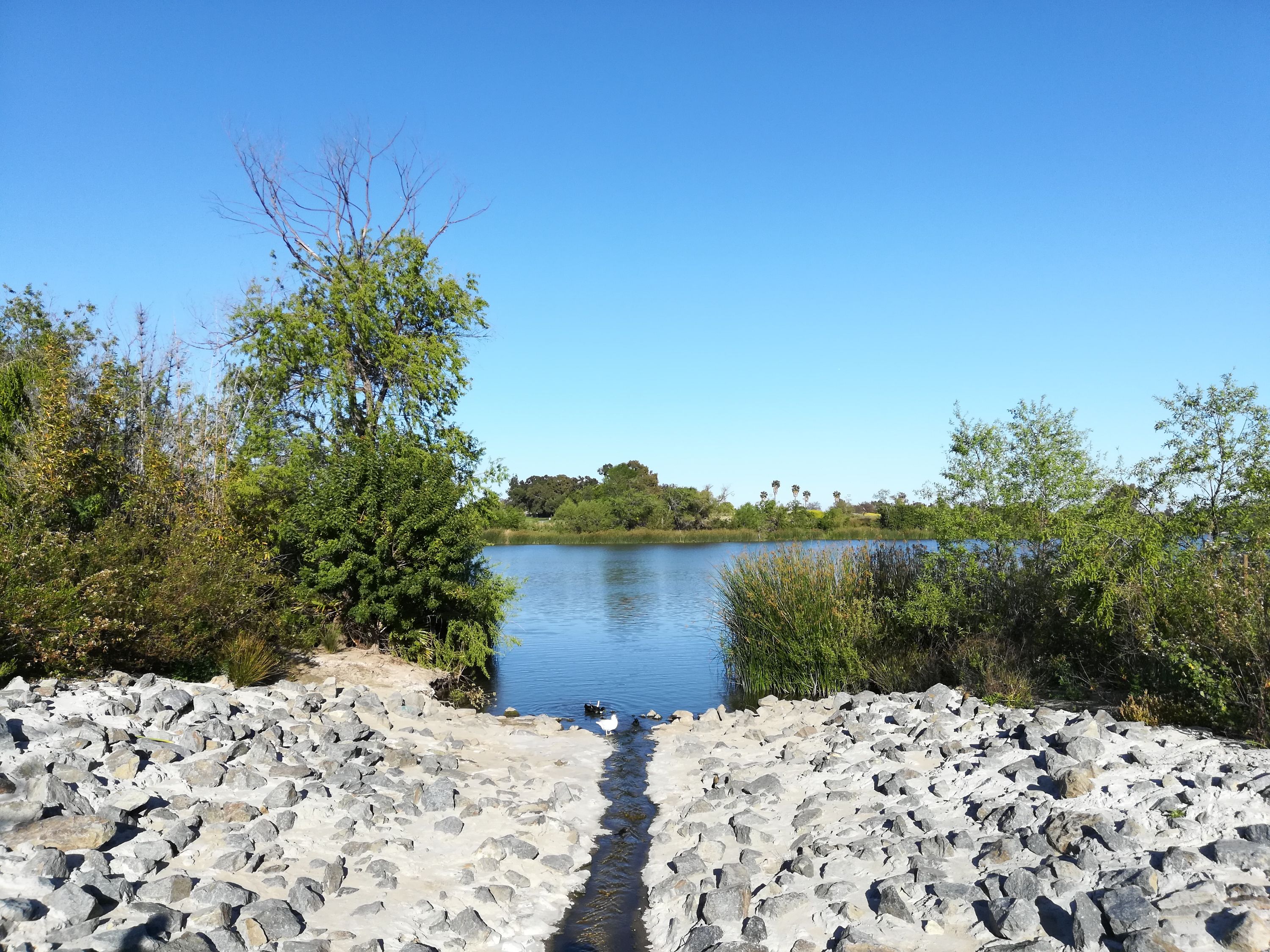 Harbor City Shutterstock 1449478382